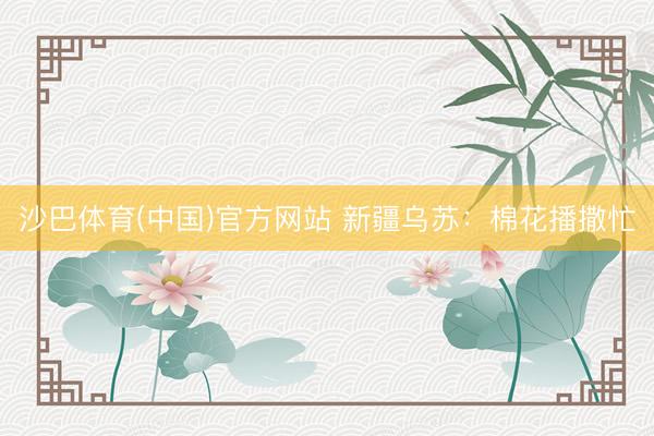 沙巴体育(中国)官方网站 新疆乌苏：棉花播撒忙