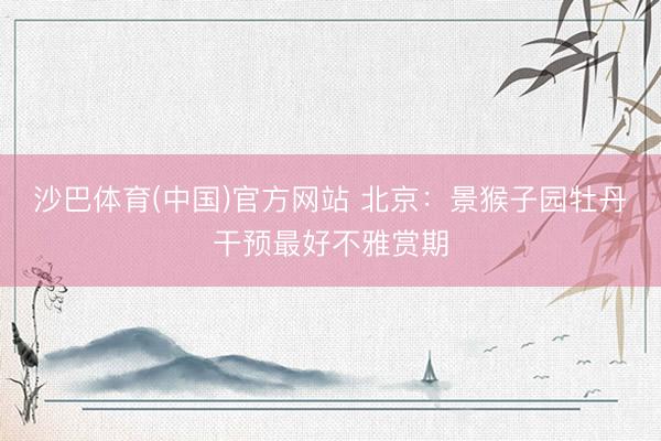 沙巴体育(中国)官方网站 北京：景猴子园牡丹干预最好不雅赏期