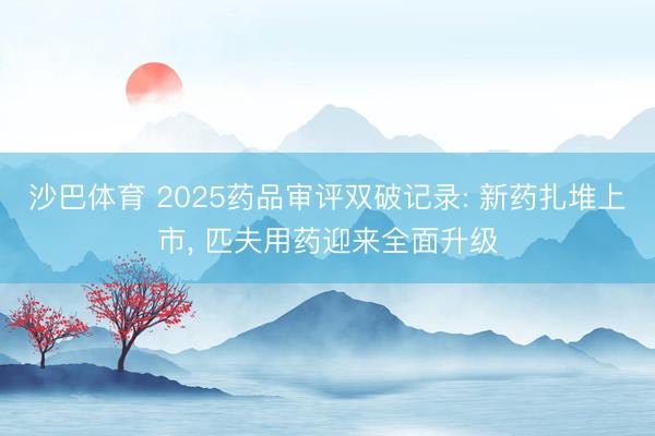 沙巴体育 2025药品审评双破记录: 新药扎堆上市， 匹夫用药迎来全面升级