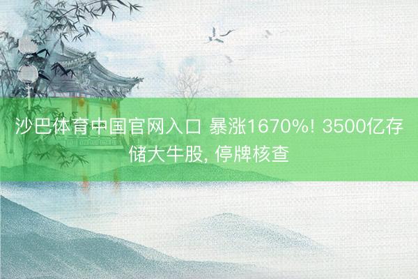 沙巴体育中国官网入口 暴涨1670%! 3500亿存储大牛股， 停牌核查
