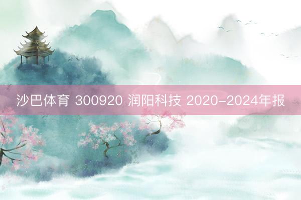 沙巴体育 300920 润阳科技 2020-2024年报