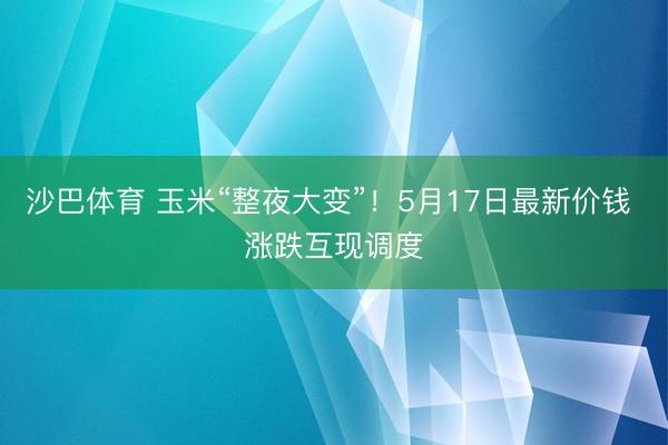 沙巴体育 玉米“整夜大变”!5月17日最新价钱 涨跌互现调度