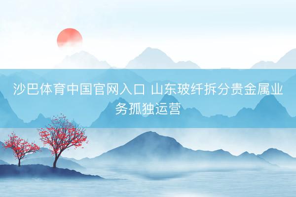 沙巴体育中国官网入口 山东玻纤拆分贵金属业务孤独运营