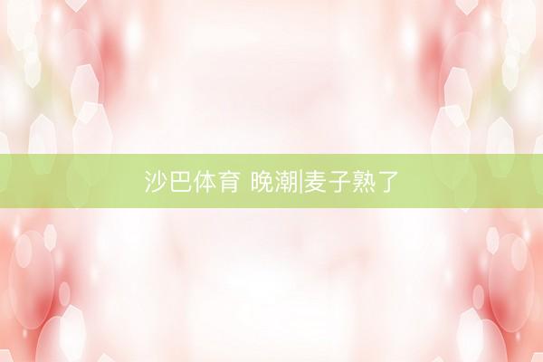 沙巴体育 晚潮|麦子熟了
