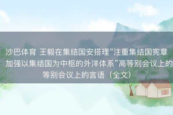 沙巴体育 王毅在集结国安搭理“注重集结国宪章宗旨和原则,加强以集结国为中枢的外洋体系”高等别会议上的言语(全文)